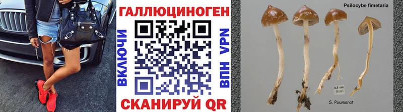 Галлюциногенные грибы Psilocybe  Купить где  Вельск 