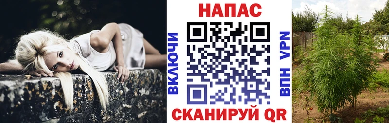 Купить закладки  Вельск  Бошки Шишки план 